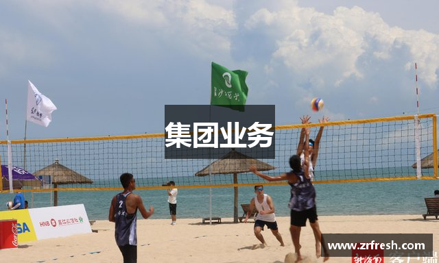 集团业务